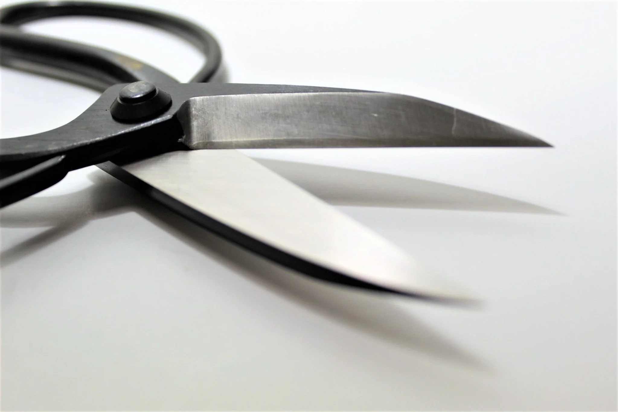 Japanese Garden Scissors High Carbon Steel 200 mm (7.8") Long Okubo - Image 4