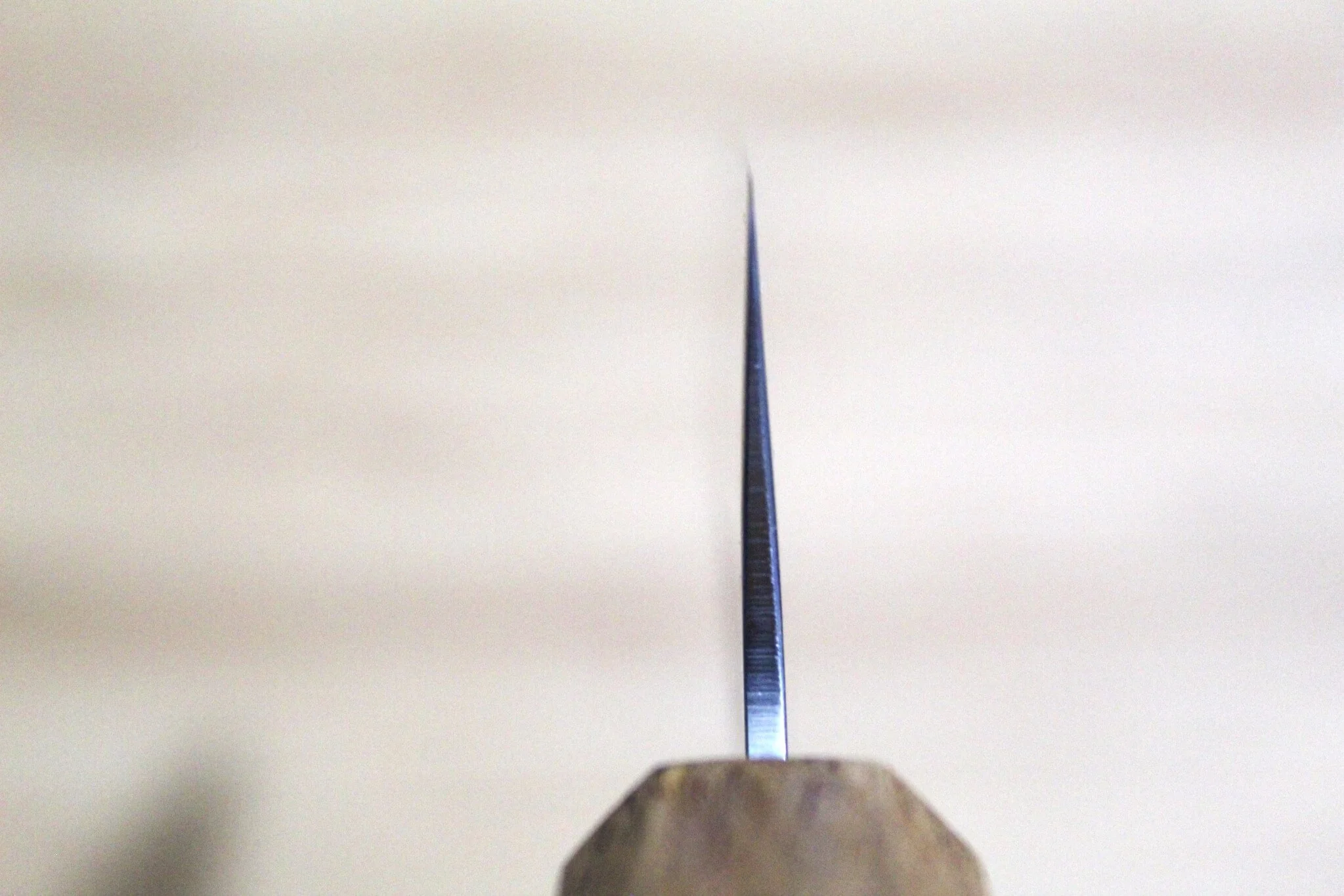 Sakai Takayuki Ginsan Nashiji Kengata Santoku Knife 170mm / 6.7" - Image 8