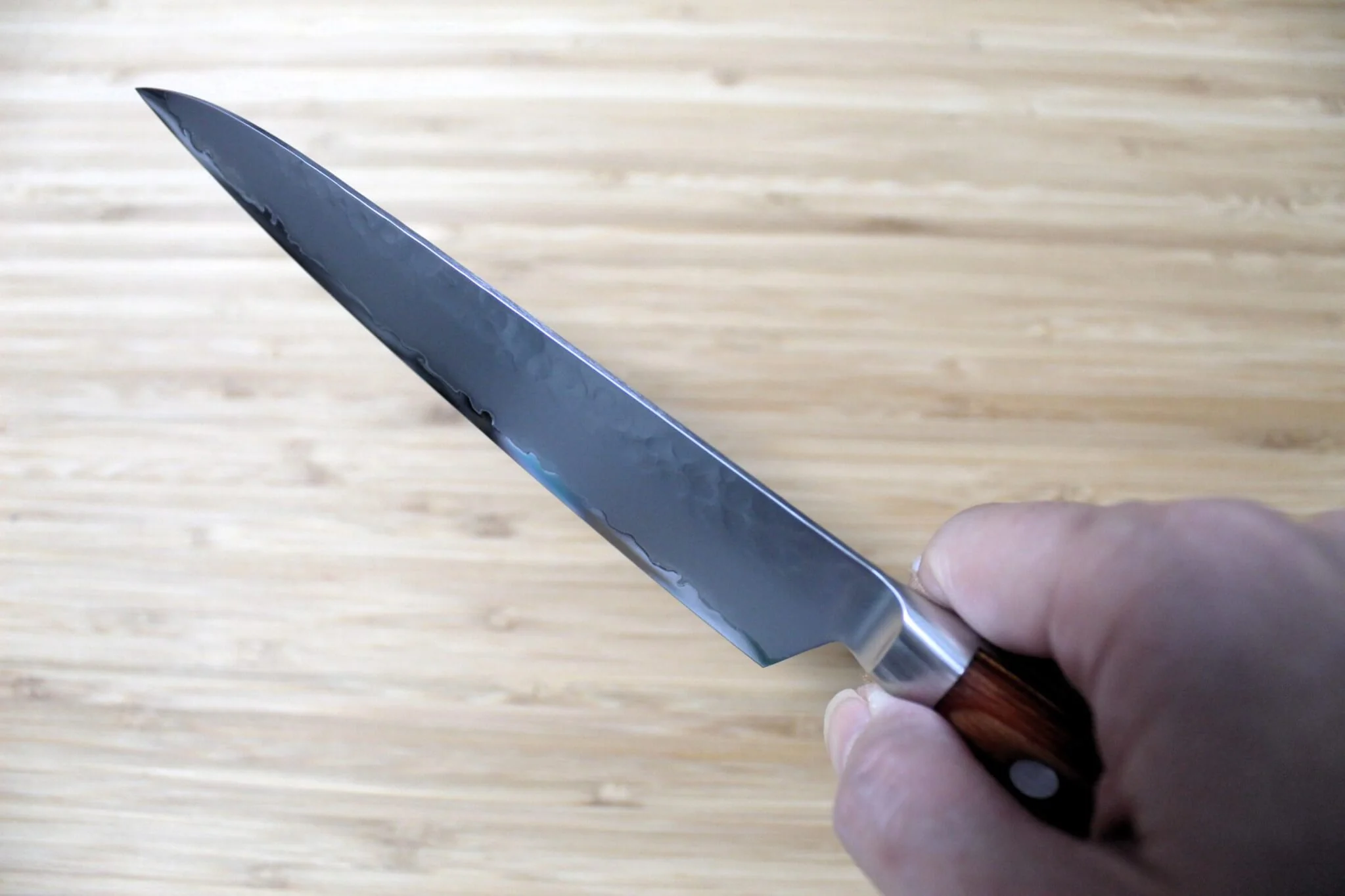 Sakai Takayuki Petty Knife 150mm (5.9") VG-5 with Wood Handle - Image 9