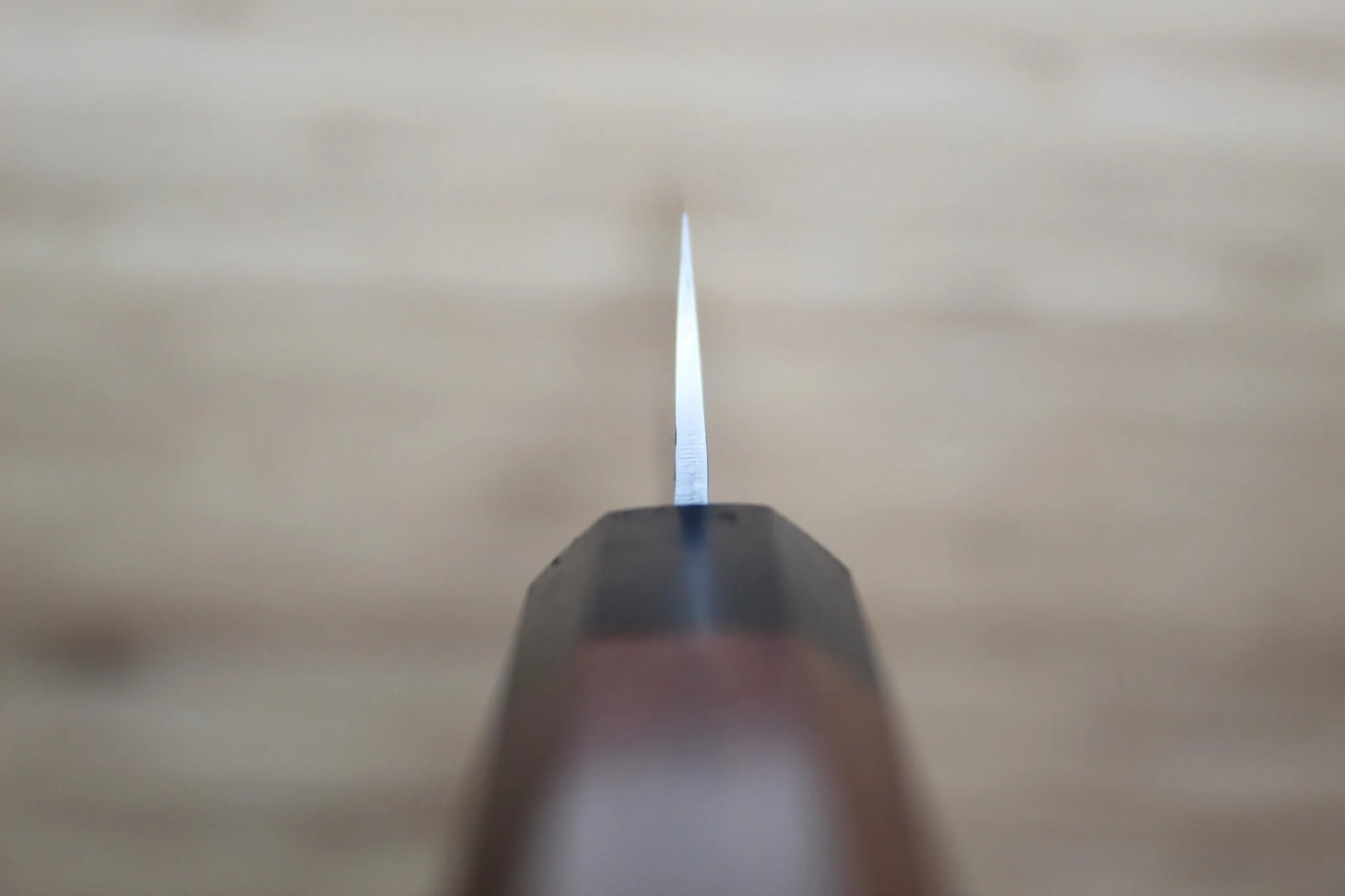Sakai Takayuki SG2 Kengata Yanagiba with Rosewood Handle 270 mm (10.6") - Image 8