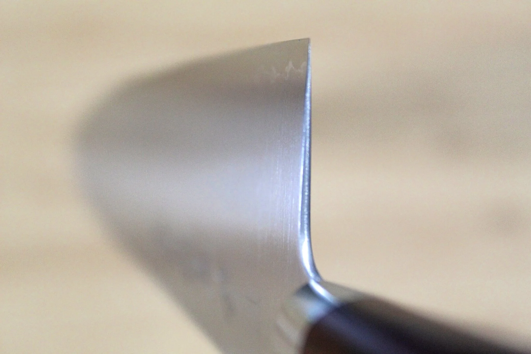 Sawakazuma SRS13 Gyuto Knife 180 mm (7.1") / 210 mm ( 8.2") Rosewood Handle - Image 9