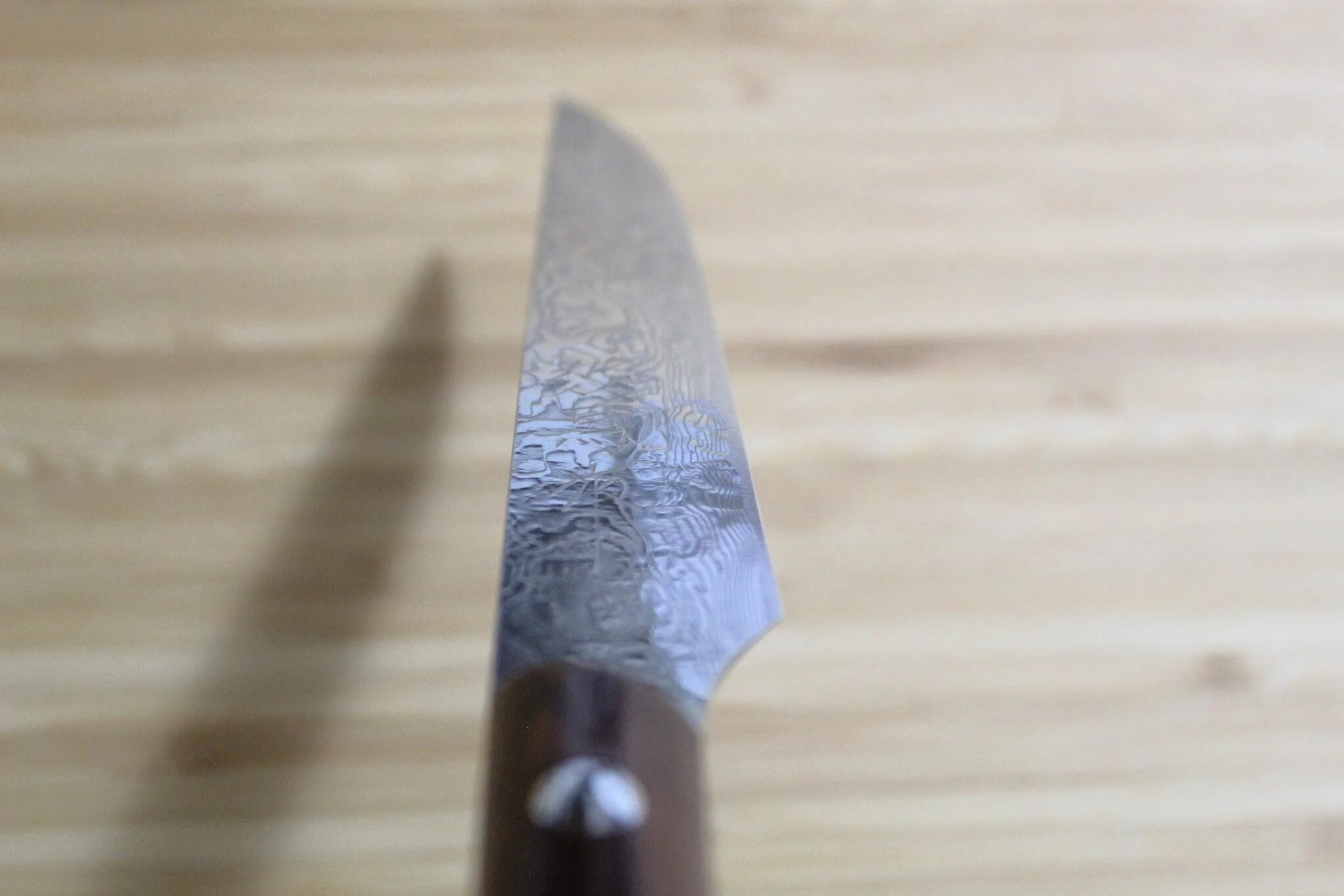 Sawakazuma SRS13 Steak Knife 120 mm / 4.7" Desert Ironwood Handle - Image 10