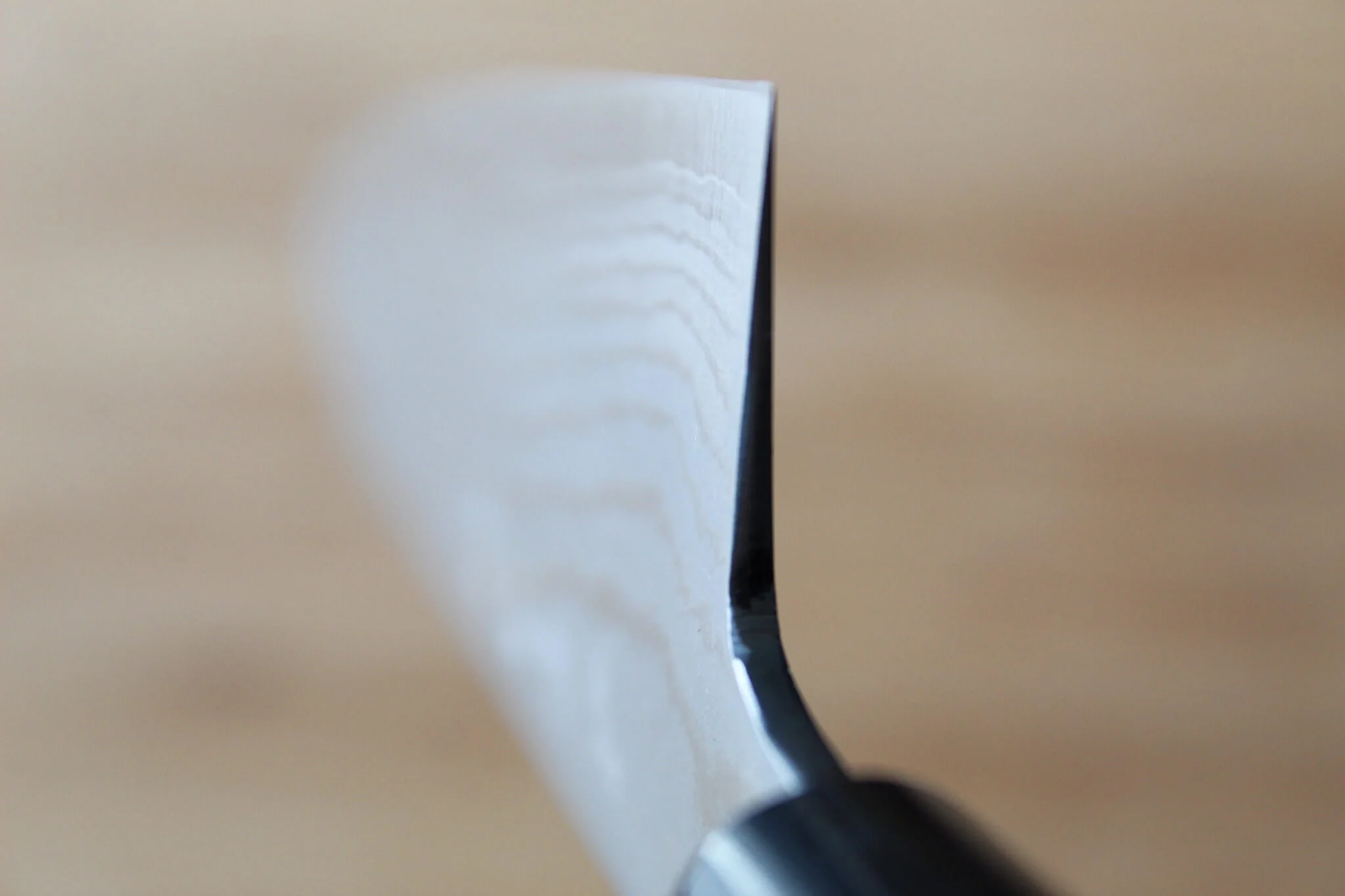 Shigeki Tanaka Damascus VG10 Gyuto with Magnolia Handle Buffalo Ferrule 180 mm / 7.1" - Image 8